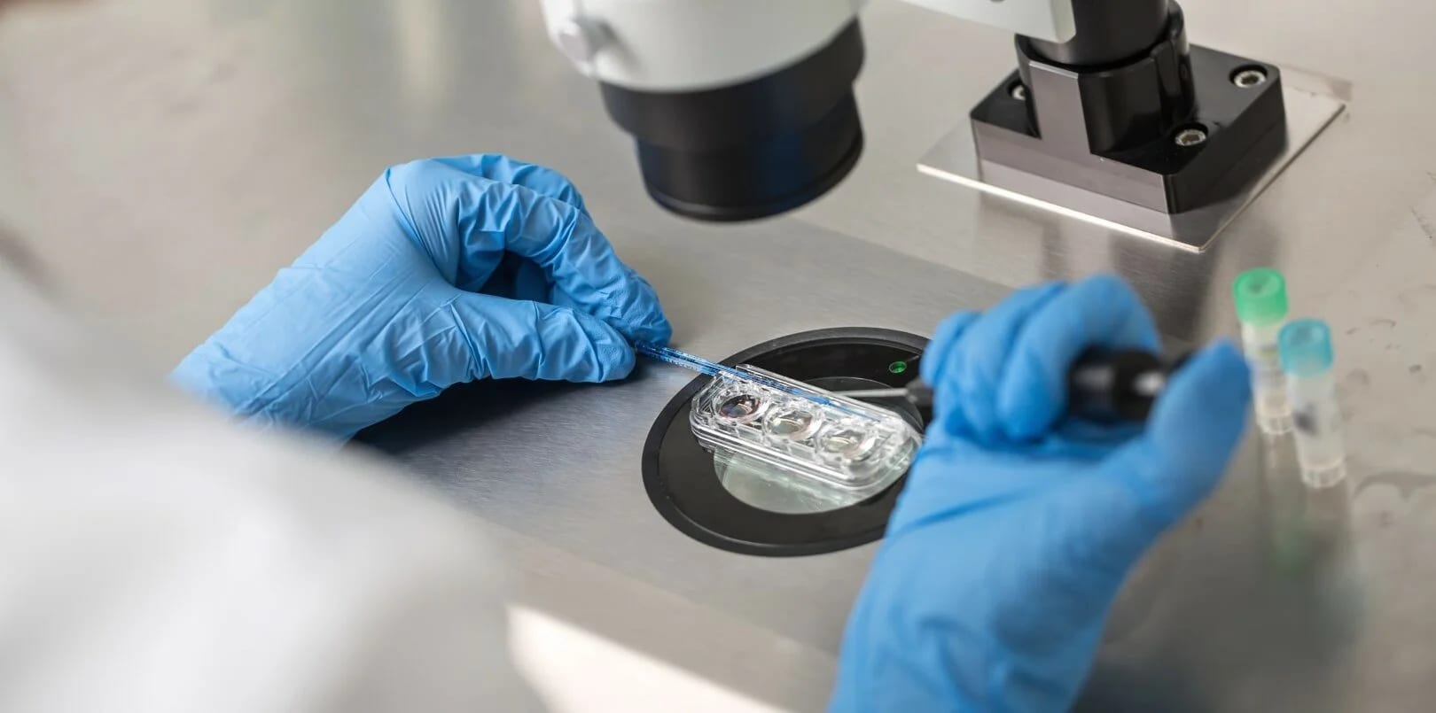 ivf-2-e1686468938301
